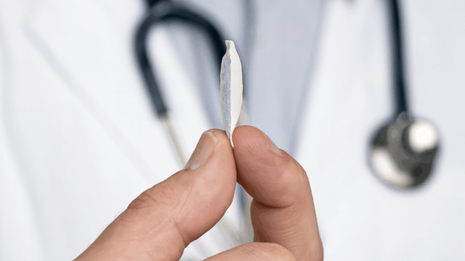 Neue Studie zu weissem Snus: Forschung untersucht Risiken – Unternehmen präsentiert Schutztechnologie